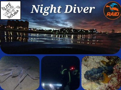 Night and Limited Visibility Diver