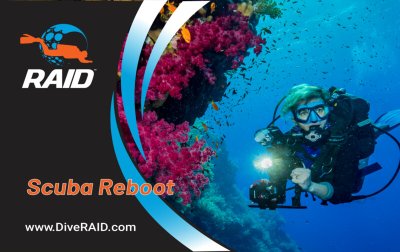Scuba Reboot